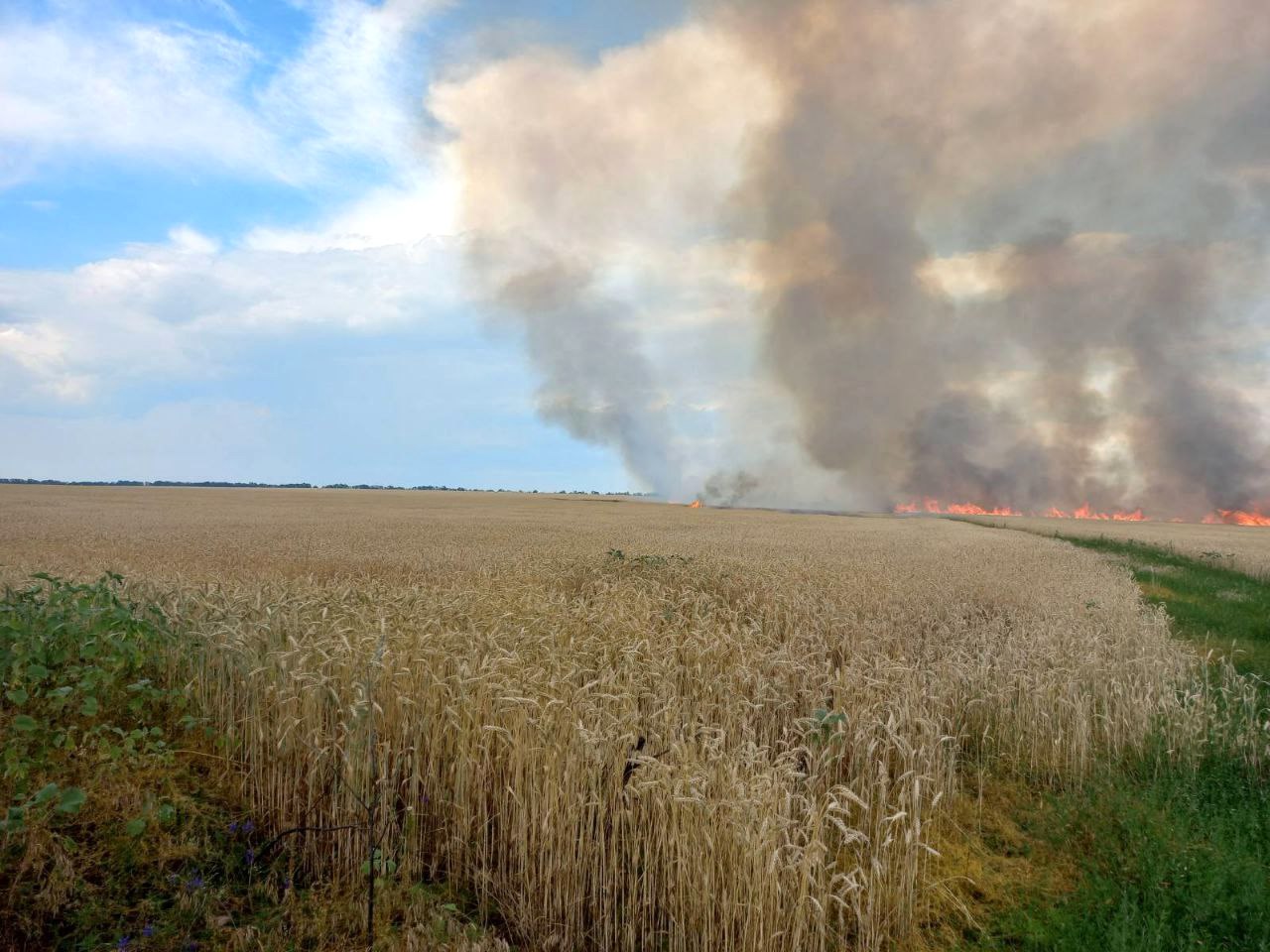 Bild: Main Directorate of the State Emergency Service of Ukraine in Kharkiv Oblast, Burning field near Andriivka, 2022-07-05 (03), CC BY 4.0, via Wikimedia Commons, (keine Änderungen vorgenommen)