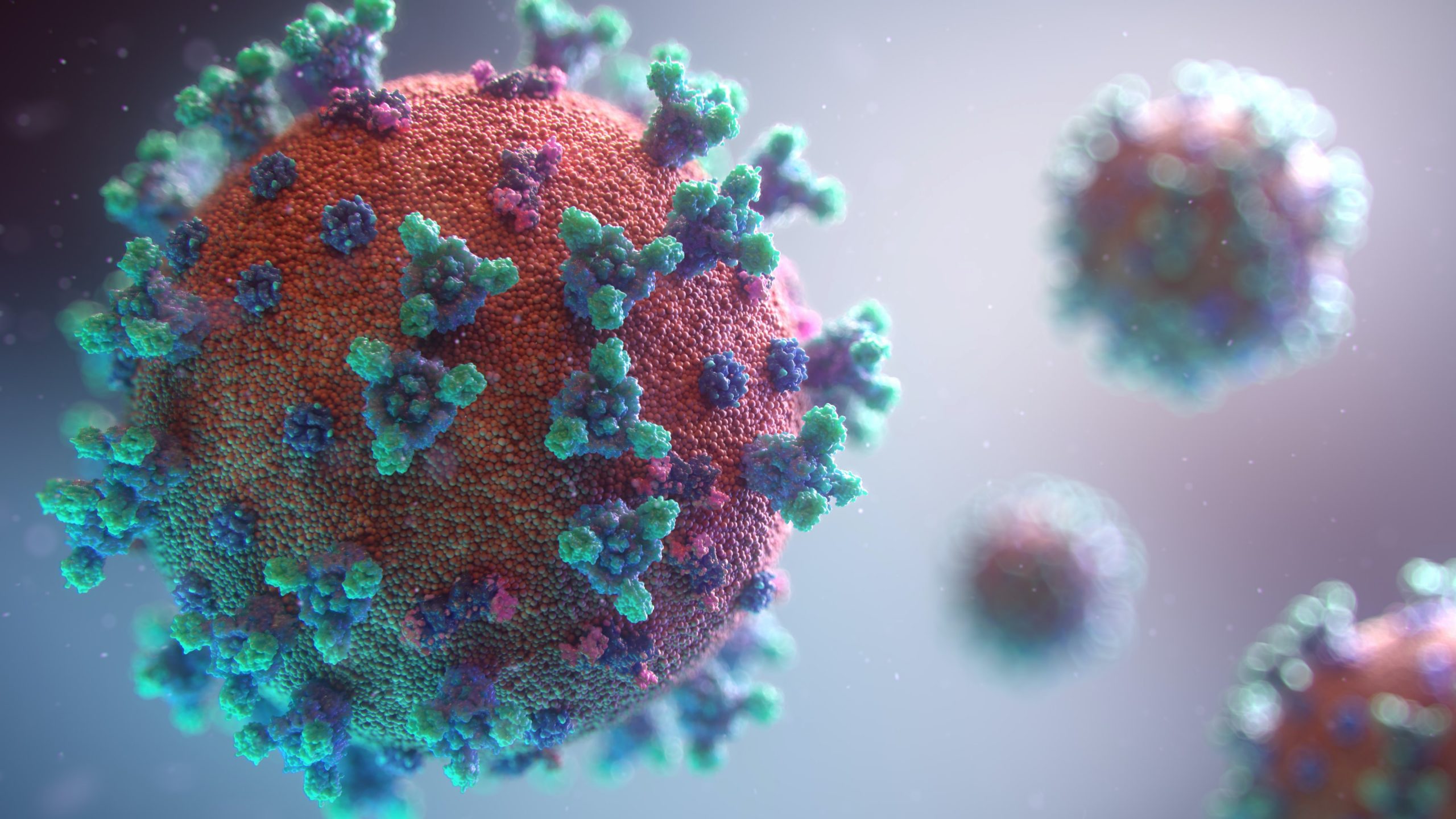 Bild: Fusion Medical Animation, Visualisierung des Corona-Virus, das Covid-19 verursacht, CC0, via unsplash.com (keine Änderungen vorgenommen)