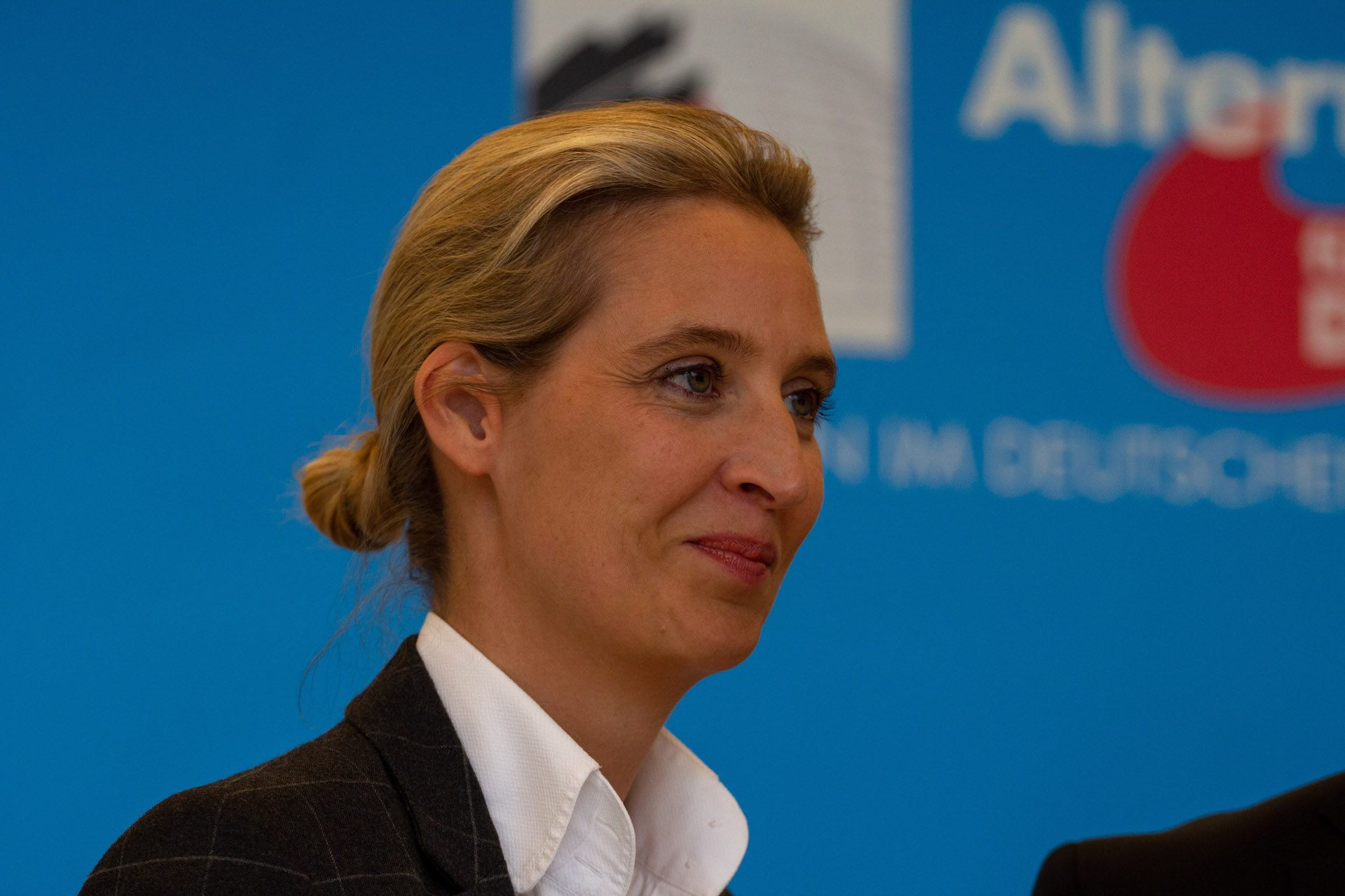 Bild: Olaf Kosinsky, 2019-04-11 Pressekonferenz der AfD, CC BY-SA 3.0 DE, via Wikimedia Commons (Bildgröße verändert)